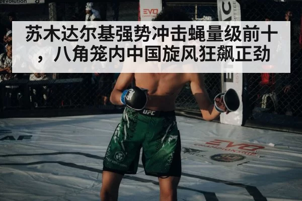 苏木达尔基强势冲击蝇量级前十,八角笼内中国旋风狂飙正劲